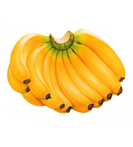 Banana Nat 47144/200