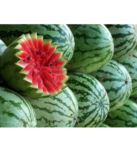 Nageslacht Moment pijpleiding Geurolie Watermeloen, Online kopen