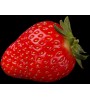 Strawberry 47163 500