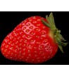 Strawberry 47163 500