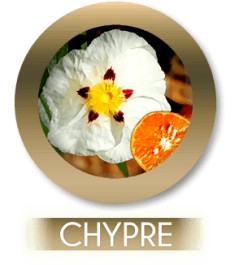 Chyprée 301