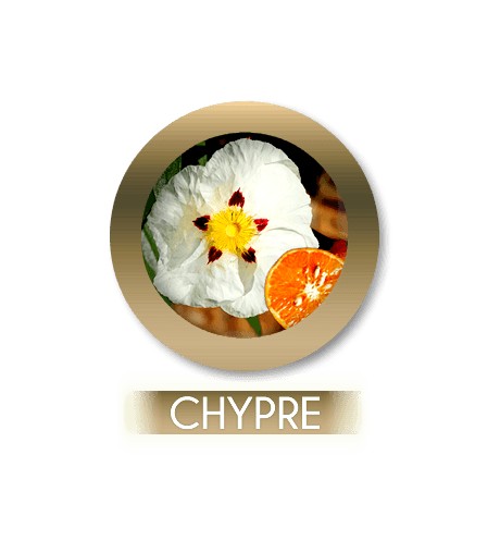 Chypre 301
